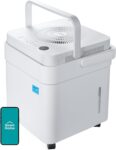 Top 10 Best Dehumidifiers 2025