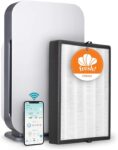 Top 10 Best Air Purifiers 2025