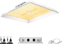 Top 10 Best Grow Lights 2025