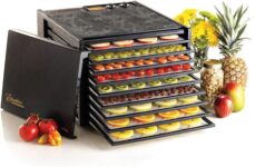 Top 10 Best Dehydrators 2025
