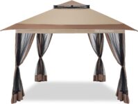 Top 10 Best Canopies 2025