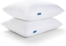 Top 10 Best Pillows 2025