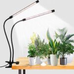 Top 10 Best Grow Lights 2025
