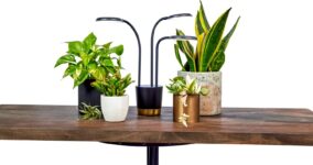 Top 10 Best Grow Lights 2025