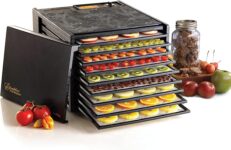 Top 10 Best Dehydrators 2025