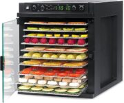 Top 10 Best Dehydrators 2025