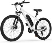 Top 10 Best Electric Bikes 2025