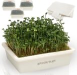 Top 10 Best Herb Gardens 2026