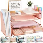 Top 10 Best Desk Organizers 2025