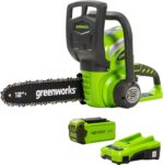 Top 10 Best Chainsaws 2025